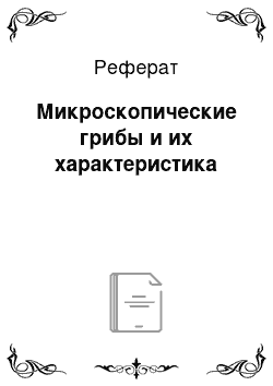 Реферат: Микроскопические грибы и их характеристика