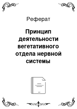 Реферат: Принцип деятельности вегетативного отдела нервной системы