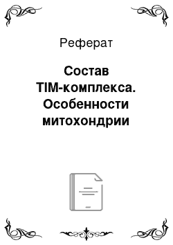 Реферат: Состав TIM-комплекса. Особенности митохондрии