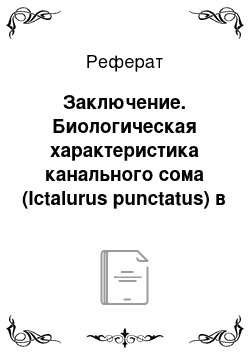 Реферат: Заключение. Биологическая характеристика канального сома (Ictalurus punctatus) в озере Старая Кубань