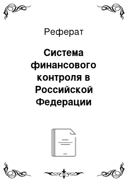 Реферат: Система финансового контроля в Российской Федерации