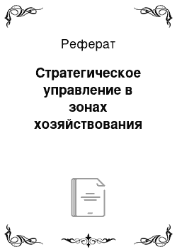 Реферат: Стратегическое управление в зонах хозяйствования