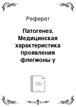 Реферат: Патогенез. Медицинская характеристика проявления флегмоны у лошадей