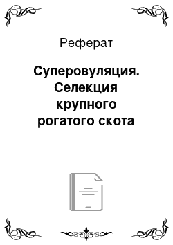 Реферат: Суперовуляция. Селекция крупного рогатого скота