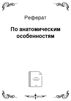 Реферат: По анатомическим особенностям