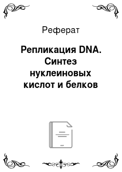 Реферат: Репликация DNA. Синтез нуклеиновых кислот и белков