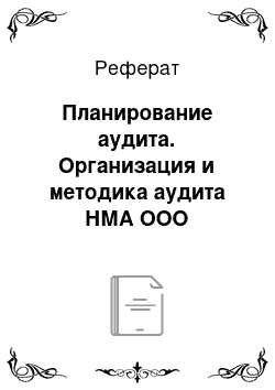 Реферат: Планирование аудита. Организация и методика аудита НМА ООО "Тульчинка-Юг"