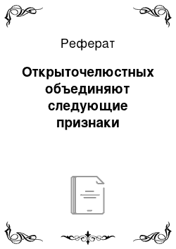 Реферат: Открыточелюстных объединяют следующие признаки