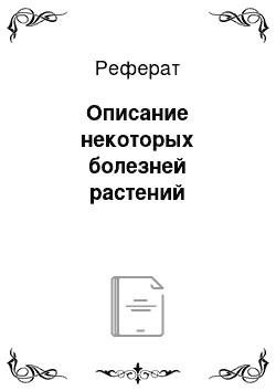 Реферат: Описание некоторых болезней растений