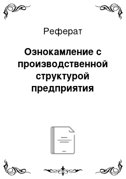 Реферат: Ознокамление с производственной структурой предприятия