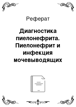 Реферат: Диагностика пиелонефрита. Пиелонефрит и инфекция мочевыводящих путей