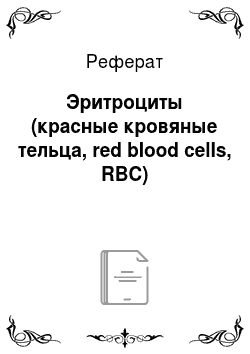 Реферат: Эритроциты (красные кровяные тельца, red blood cells, RBC)