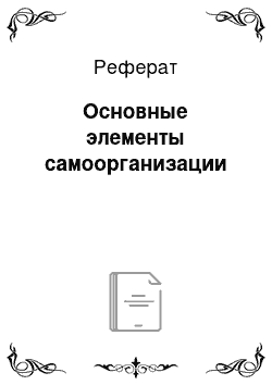 Реферат: Основные элементы самоорганизации