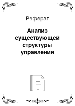 Реферат: Анализ существующей структуры управления