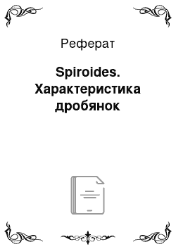 Реферат: Spiroides. Характеристика дробянок