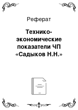 Реферат: Технико-экономические показатели ЧП «Садыков Н.Н.»