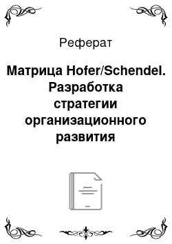 Реферат: Матрица Hofer/Schendel. Разработка стратегии организационного развития строительного предприятия