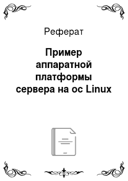 Реферат: Пример аппаратной платформы сервера на ос Linux