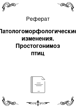 Реферат: Патологоморфологические изменения. Простогонимоз птиц