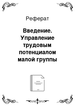 Реферат: Введение. Управление трудовым потенциалом малой группы