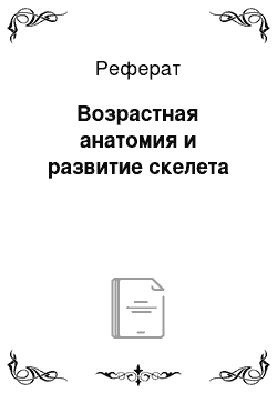 Реферат: Возрастная анатомия и развитие скелета