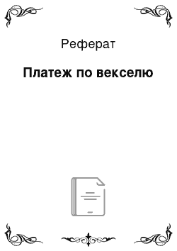 Реферат: Платеж по векселю