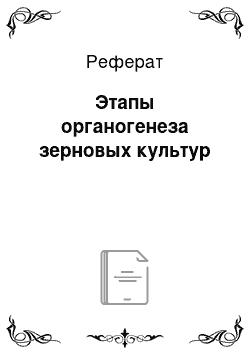 Реферат: Этапы органогенеза зерновых культур