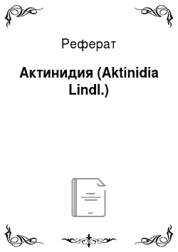 Реферат: Актинидия (Aktinidia Lindl.)