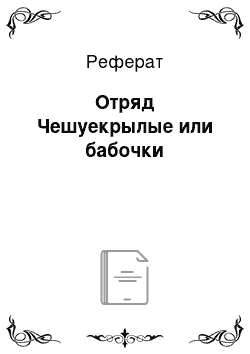 Реферат: Отряд Чешуекрылые или бабочки