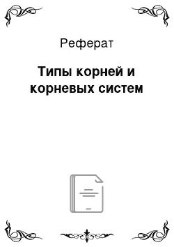 Реферат: Типы корней и корневых систем