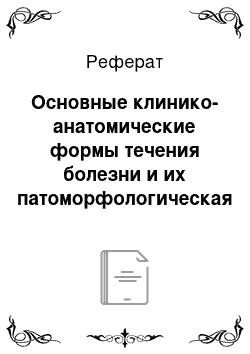 Реферат: Основные клинико-анатомические формы течения болезни и их патоморфологическая характеристика