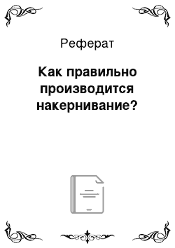 Реферат: Как правильно производится накернивание?