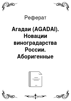 Реферат: Агадаи (AGADAI). Новации виноградарства России. Аборигенные районированные сорта винограда
