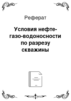 Реферат: Условия нефте-газо-водоносности по разрезу скважины