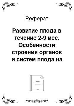 Реферат: Развитие плода в течение 2-9 мес. Особенности строения органов и систем плода на 3-9 месяцах внутриутробного развития, строения. Периодизация постнатального онтогенеза