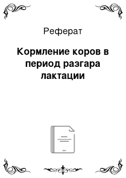 Реферат: Кормление коров в период разгара лактации