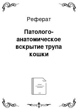 Реферат: Патолого-анатомическое вскрытие трупа кошки