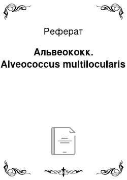 Реферат: Альвеококк. Alveococcus multilocularis