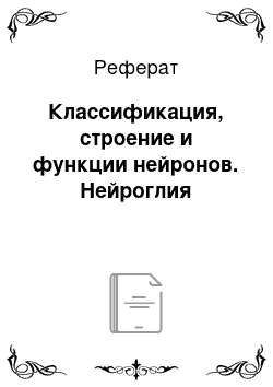 Реферат: Классификация, строение и функции нейронов. Нейроглия