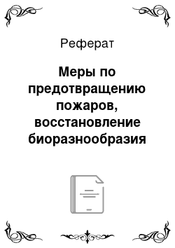 Реферат: Меры по предотвращению пожаров, восстановление биоразнообразия