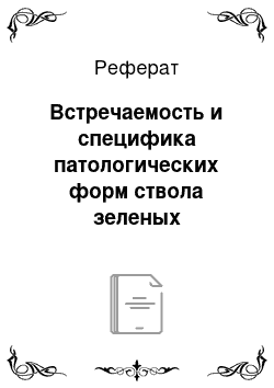 Реферат: Встречаемость и специфика патологических форм ствола зеленых насаждений г. Воронежа