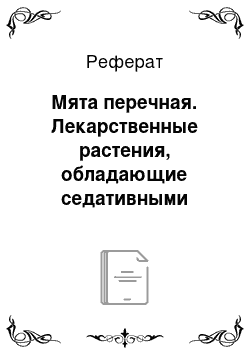 Реферат: Мята перечная. Лекарственные растения, обладающие седативными свойствами