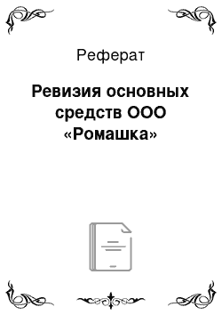 Реферат: Ревизия основных средств ООО «Ромашка»