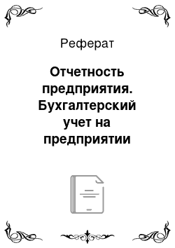 Реферат: Отчетность предприятия. Бухгалтерский учет на предприятии