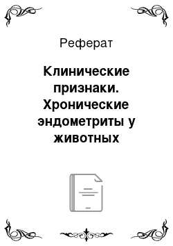 Реферат: Клинические признаки. Хронические эндометриты у животных