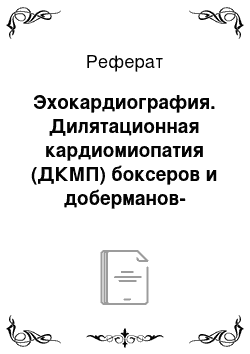 Реферат: Эхокардиография. Дилятационная кардиомиопатия (ДКМП) боксеров и доберманов-пинчеров