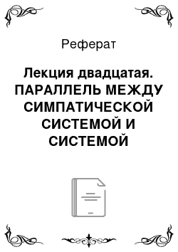 Реферат: Лекция двадцатая. ПАРАЛЛЕЛЬ МЕЖДУ СИМПАТИЧЕСКОЙ СИСТЕМОЙ И СИСТЕМОЙ СПИННОМОЗГОВОЙ