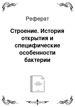 Реферат: Строение. История открытия и специфические особенности бактерии хеликобактер пилори