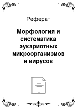 Реферат: Морфология и систематика эукариотных микроорганизмов и вирусов