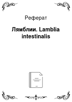 Реферат: Лямблии. Lamblia intestinalis